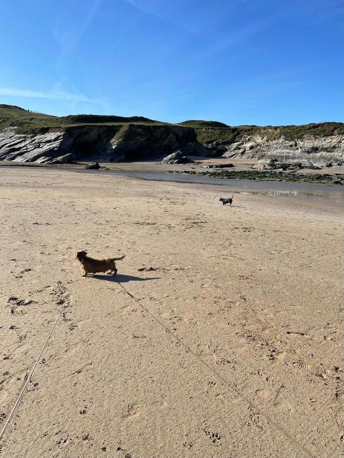 Atlantic Lodge Newquay  Luaran gambar
